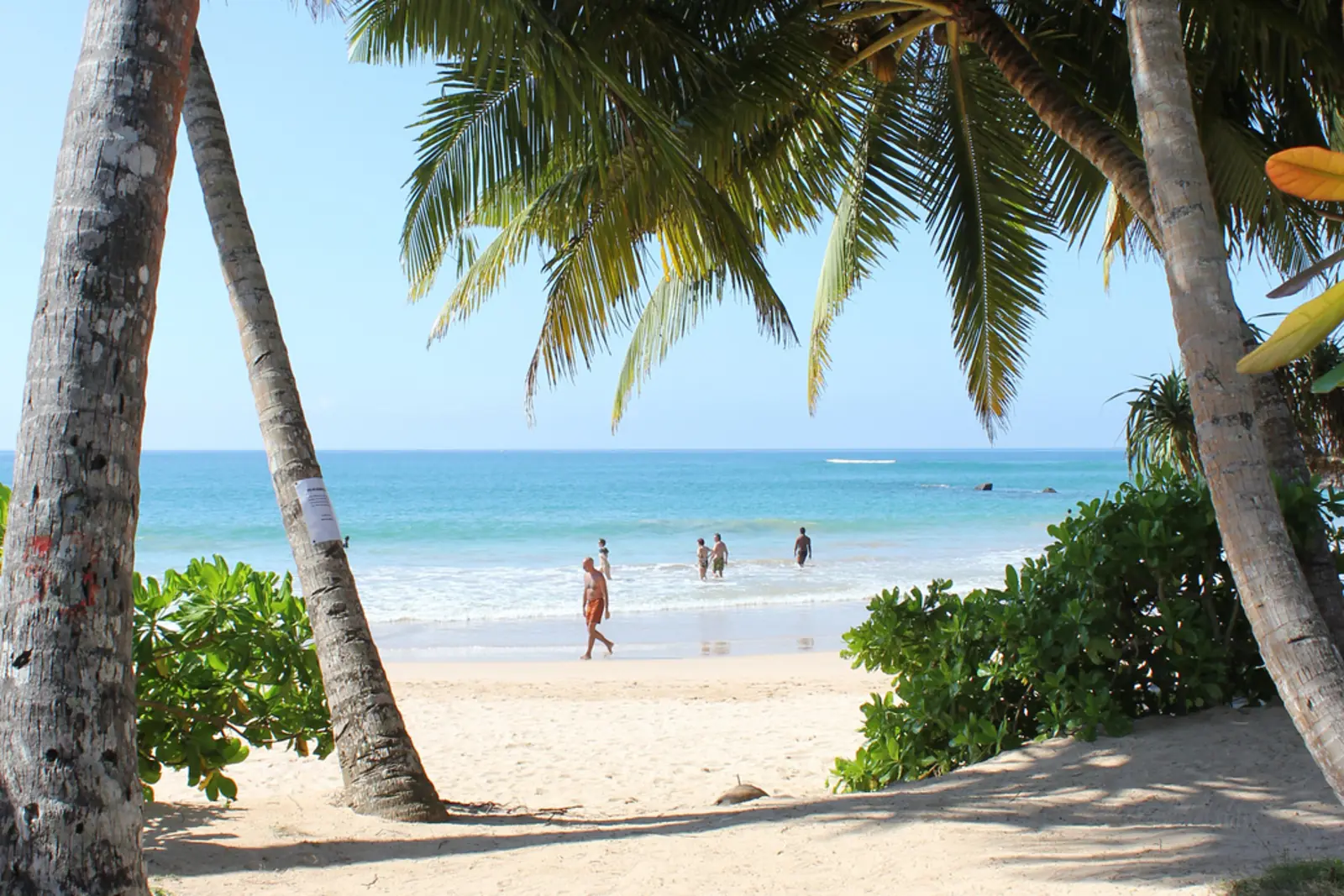 Palmenstrand und Indischer Ozean in Negombo, Sri Lanka