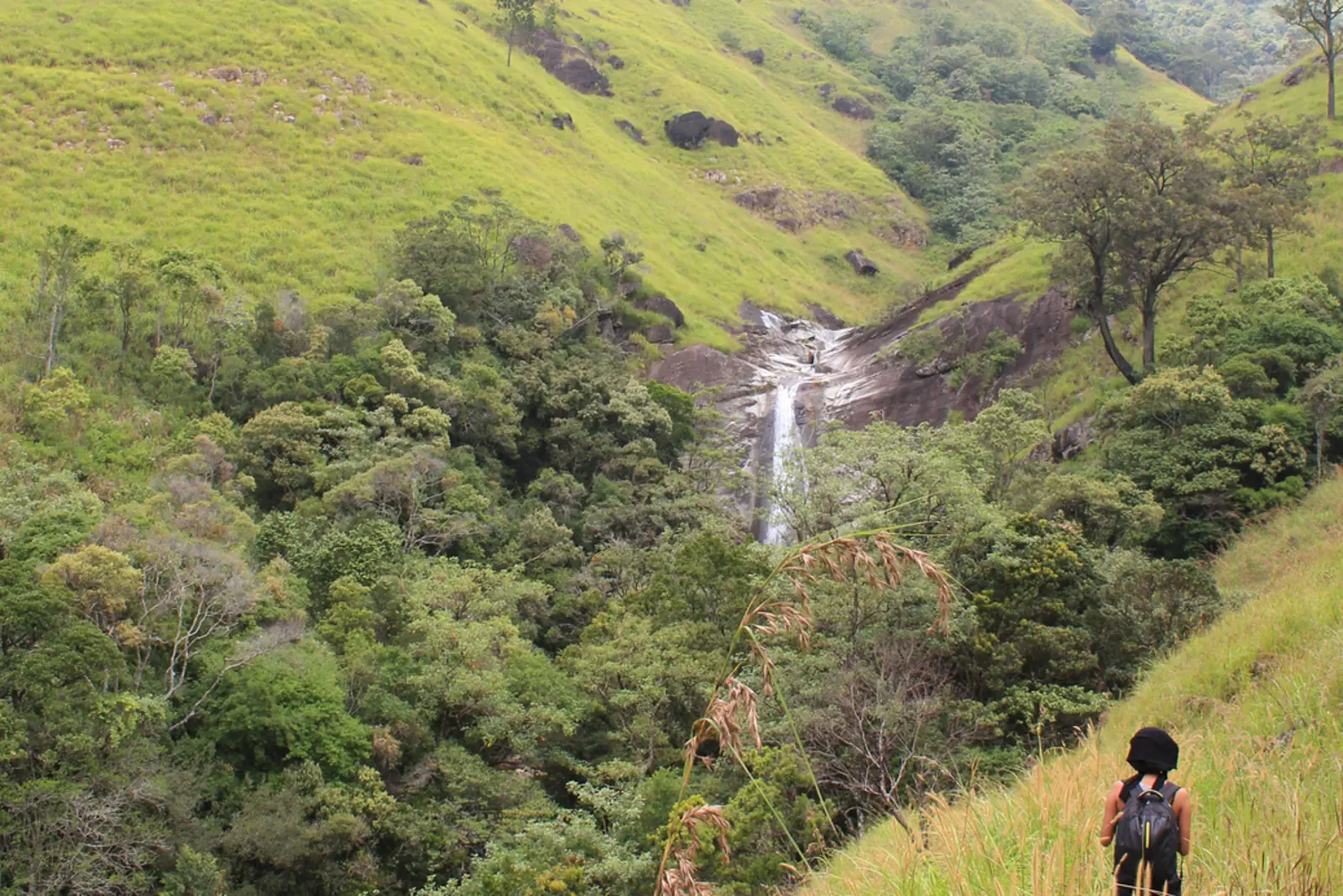 Wanderung durch grüne Berglandschaft und Waldreservat bei Thangamalay