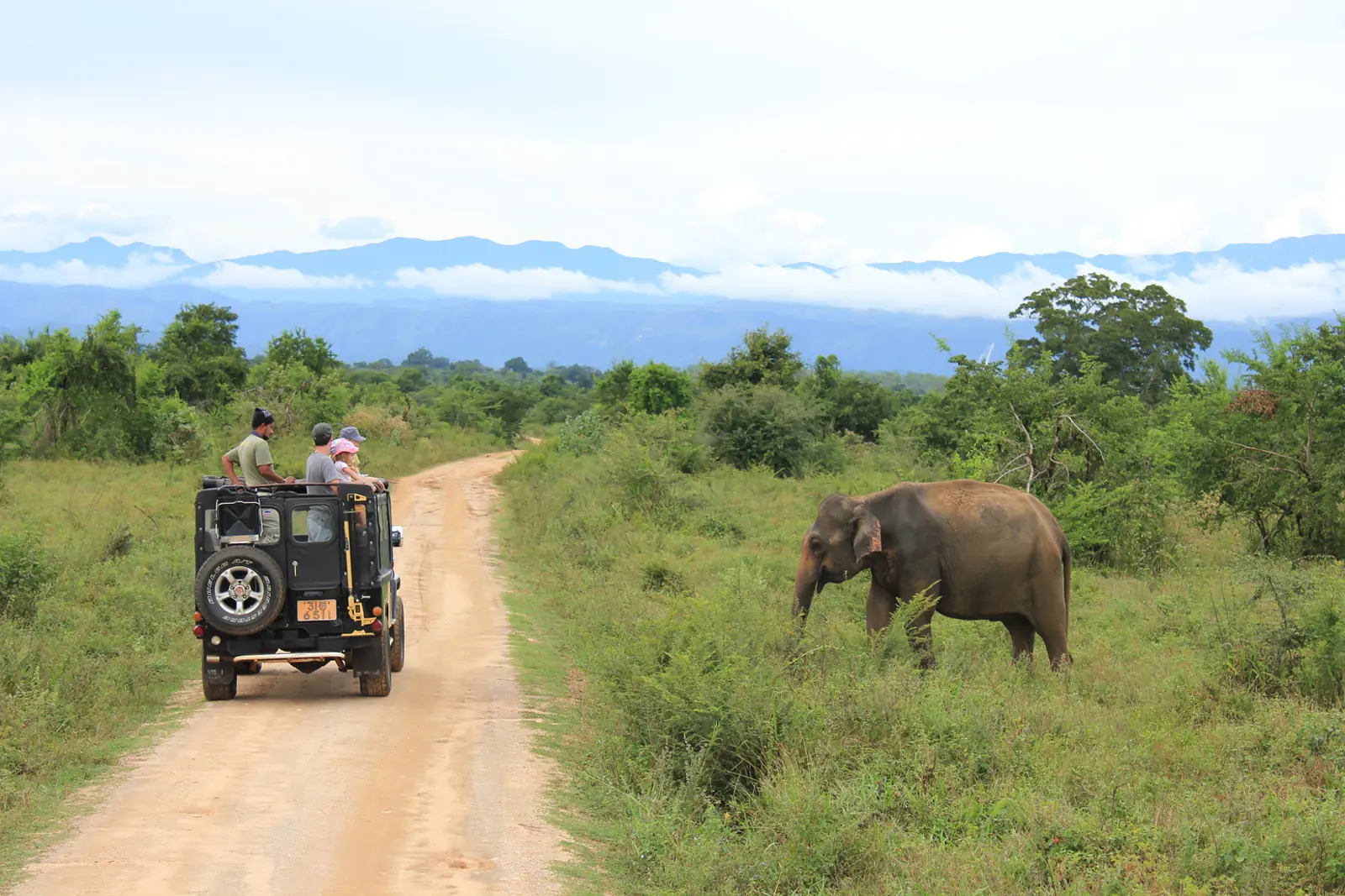 Elefanten bei einer Jeep-Safari im Udawalawe-Nationalpark in Sri Lanka
